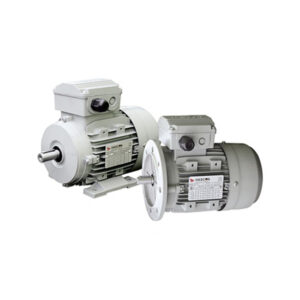 HASCON MOTOR IE 2