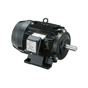 TOSHIBA MOTOR IE3