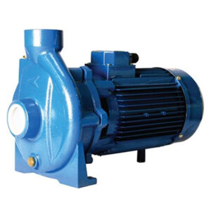 Single Impeller Centrifugal Electric Pumps CPV 160C Series