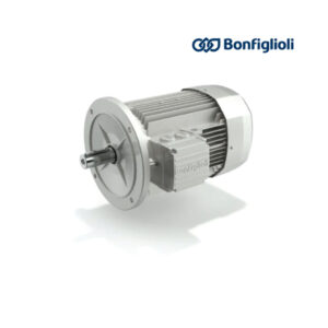 BONFIGLIOLI MOTORS BE Series