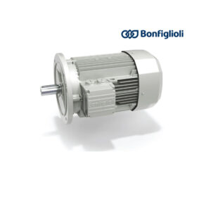 BONFIGLIOLI MOTORS BN Series