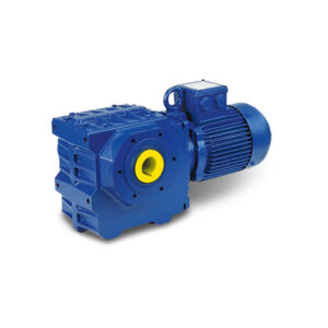 BS Series Worm Geared Motor