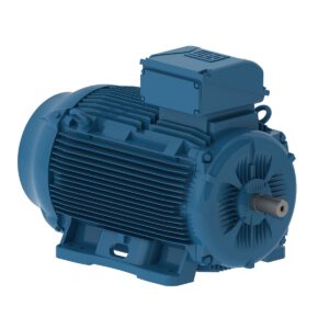 W22 - Cast Iron TEFC